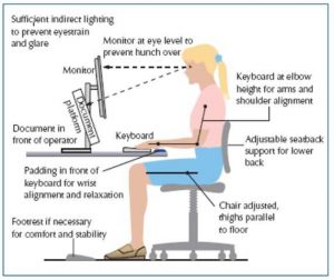 Ideal Working Posture
